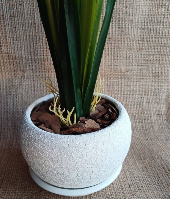 Штучна латексна орхідея цимбідіум у керамічному кашпо біла Дніпро - фото 3