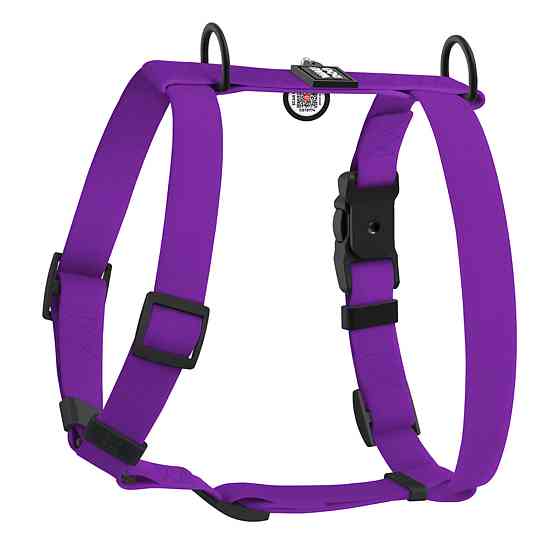 Шлея для собак водостійка анатомічна Н-подібна WAUDOG Magnet з QR-паспортом, магнітна пряжка-фастекс, L, Ш 25 мм, А 50-85 см, В 61-100 см, фіолетовий Київ
