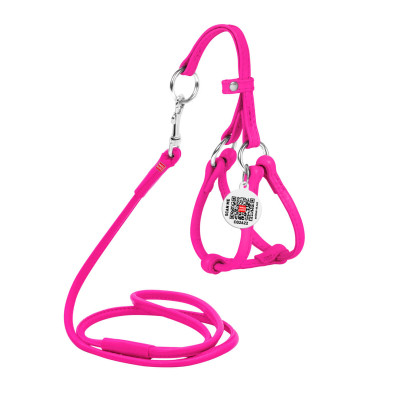 Шлея для собак WAUDOG Glamour з повідцем кругла Д 6 мм А 26-46 см В 30-50 см рожева (34017) Вінниця - фото 1