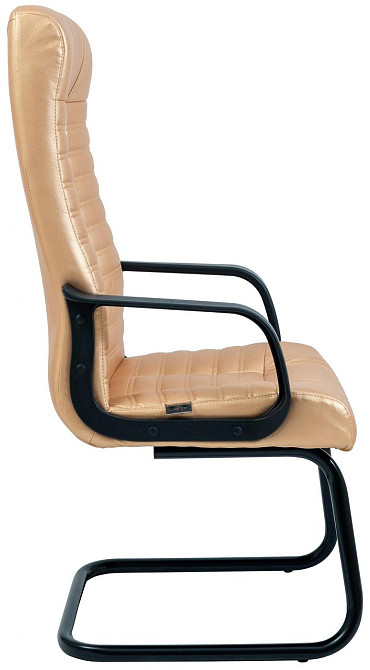 Офісне Конференційне Крісло Richman Atlant Madras Nacre 6 Gold CF Пластік Золото Київ - фото 3