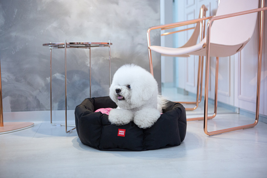 Лежанка для собак WAUDOG Relax, малюнок "Диво-жінка", зі змінною подушкою, M, Ш 42 см, Д 52 см, В 19 см Вінниця - фото 5