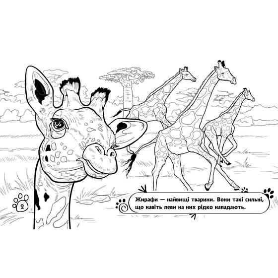 Дитяча розмальовка "Тварини у далеких краях" 583009, 16 сторінок Вінниця
