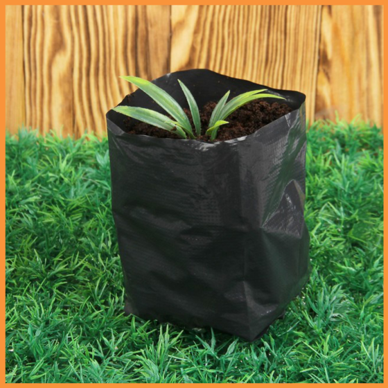 Пакет для розсади 50х500 метрів 40 мкм (чорний) рукав для вирощування розсади Дніпро