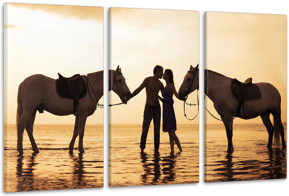 Модульная картина Лошади Пара Аrt-109_3А 70x130 см Киев - изображение 1