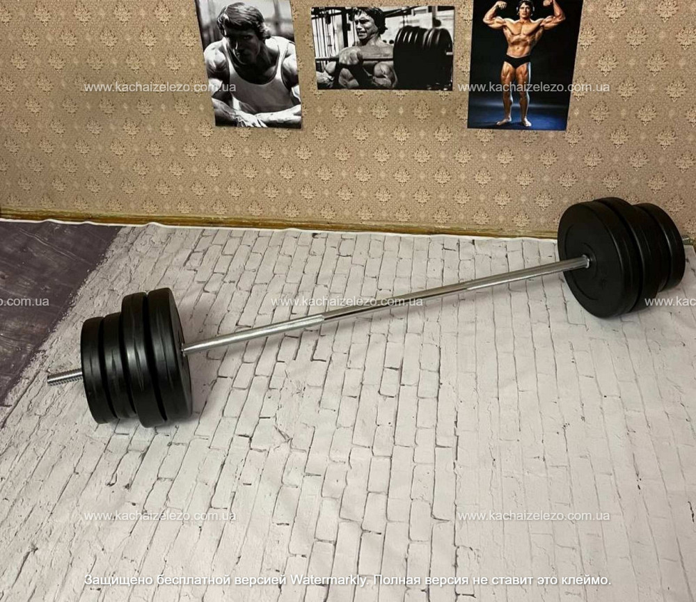 Штанга набірна + гантелі на 90 кг Гантелі, гирі, штанги та диски ударостійкий пластик Київ - фото 8