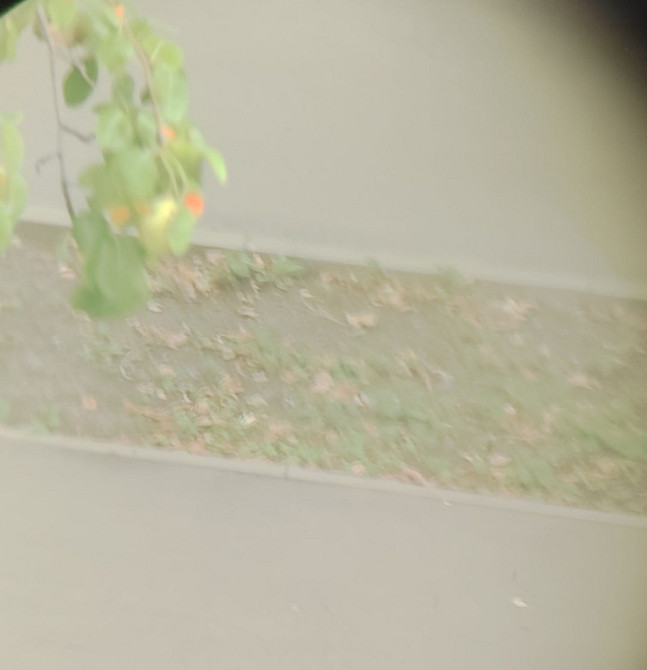 Бинокль РККА 1933 года Киев - изображение 1