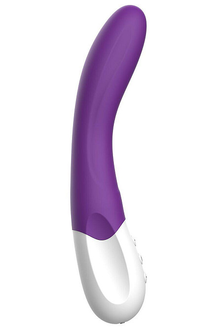 Вібратор точки G Liebe Bend It Rechargeable Purple, 10 режимів, дуже потужний, гнучкий стовбур Sex Aura Київ - фото 1
