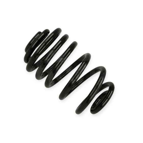 Пружина Opel Vivaro, Renault Trafic 01- задняя Мукачево