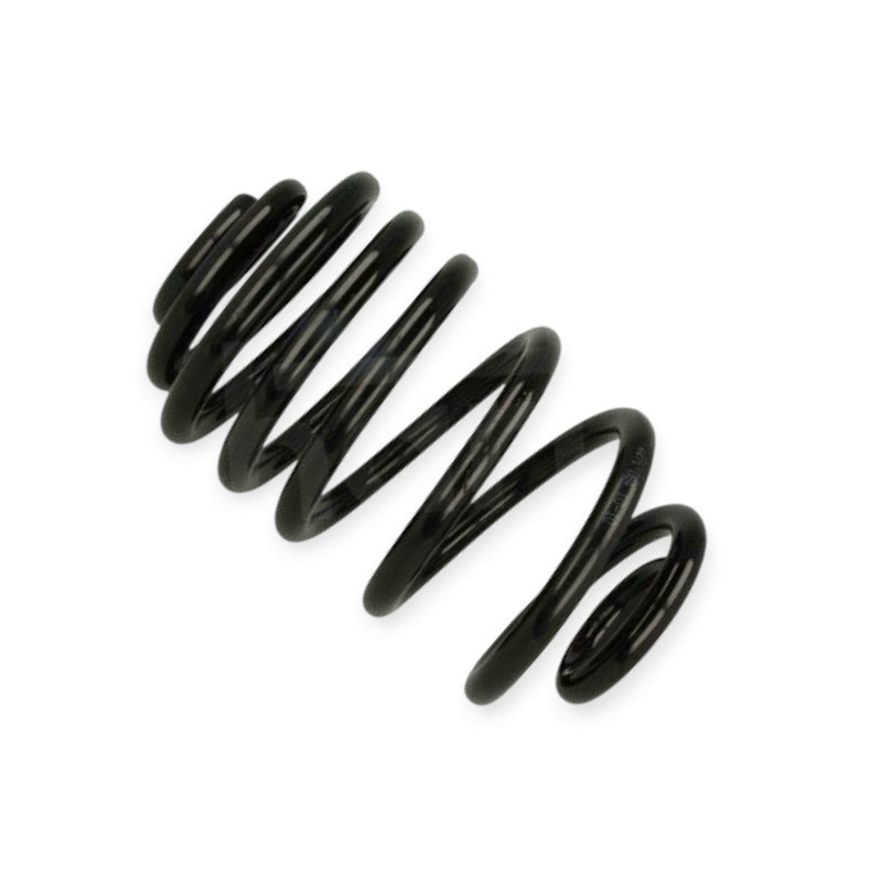 Пружина Opel Vivaro, Renault Trafic 01- задняя Мукачево - изображение 1