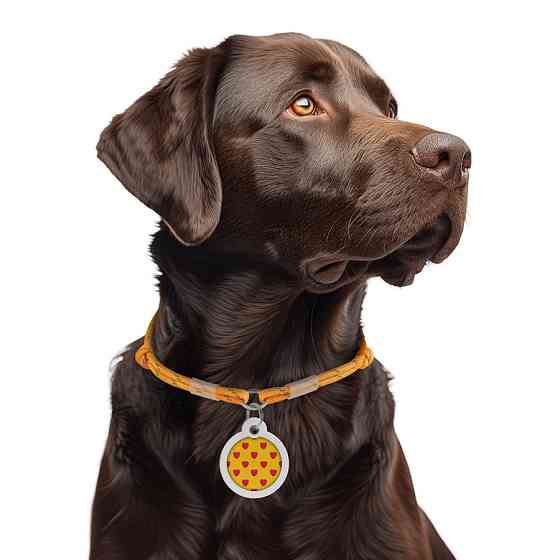 Шнурок з паракорду для адресника WAUDOG Smart ID, світловідбивний, розмір М, діаметр 4 мм, довжина 42-76 см, золотий Київ