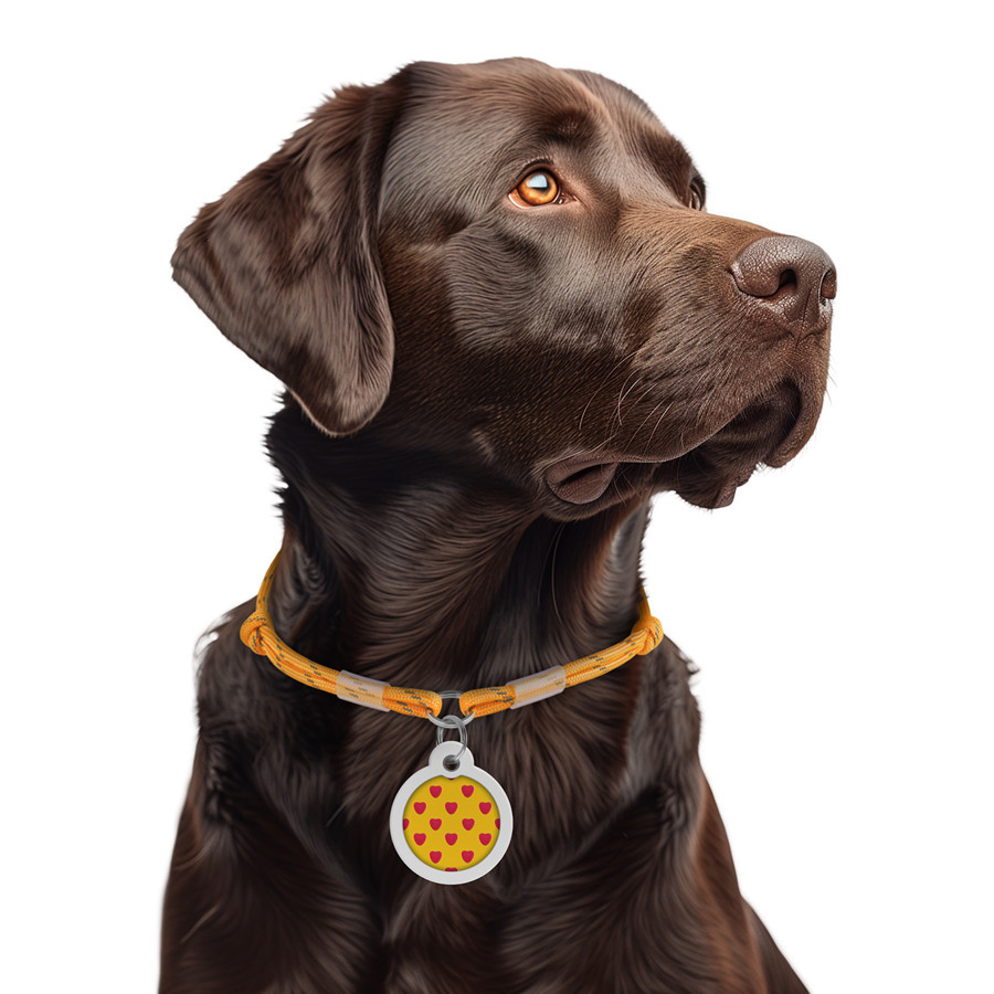 Шнурок из паракорда для адресника WAUDOG Smart ID, светоотражающий, размер М, диаметр 4 мм, длина 42-76 см, золотой Киев - изображение 4