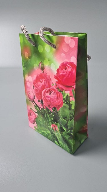 Пакет паперовий подарунковий малий 11/18/5 (арт М019) (12 шт.) Харків - фото 1