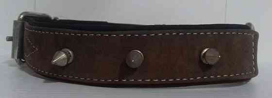 Нашийник 4327 30мм "Преміум" шкіряний подвійною з шипами Вінниця