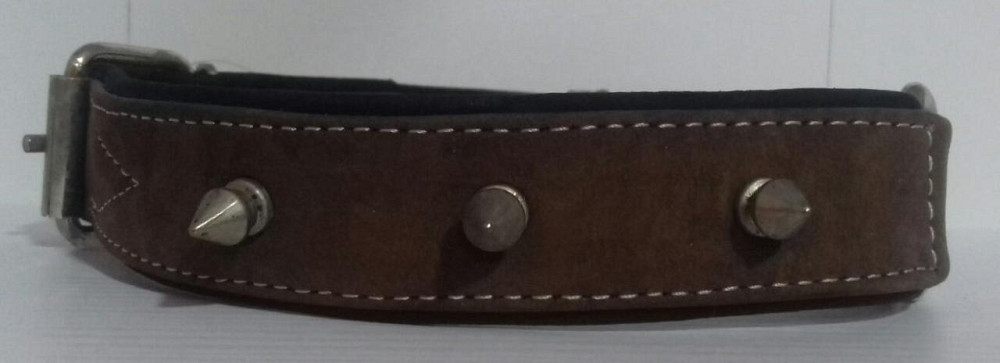 Нашийник 4327 30мм "Преміум" шкіряний подвійною з шипами Вінниця - фото 2