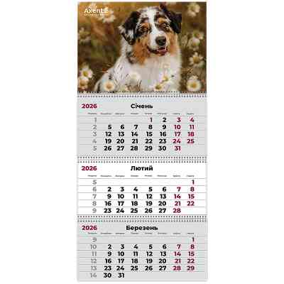 Календарь Axent настенный квартальный на 2026 г. (3 пружины) Dogs 1 (8803-26-16-A) Винница