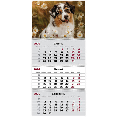 Календарь Axent настенный квартальный на 2026 г. (3 пружины) Dogs 1 (8803-26-16-A) Винница - изображение 1
