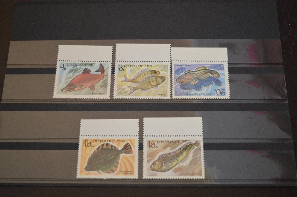 Марки. Серия. СССР (УНЦ) Полтава - изображение 1