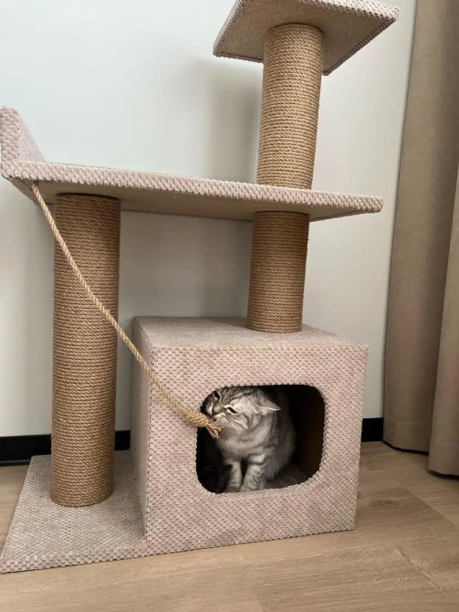 Когтеточка с домиком и лежанкой для кота, Домик для кота, 85×55×35 см Киев - изображение 5