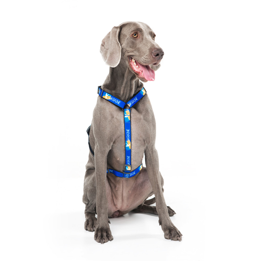 Шлея для собак анатомічна H-подібна WAUDOG Nylon з QR-паспортом, матеріал нейлон, малюнок "Прап Коломыя - изображение 8