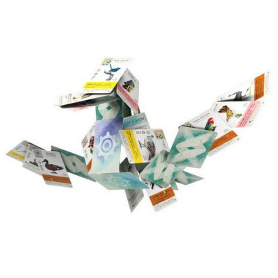 Настільна гра Ігромаг Крила: Птахи Океанії (Wingspan: Oceania Expansion) (STM903) Вінниця - фото 10