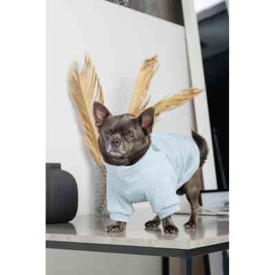 Свитер для животных Pet Fashion Fur S (4823082436057) Винница