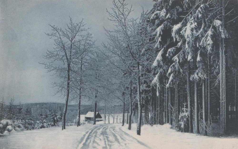 Окрытка (Відкритий лист) ФОТО стара 2 Полтава - фото 1