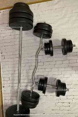 Штанга набірна + W-подібний гриф з гантелями 140 кг Гантелі, гирі, штанги та диски ударостійкий пластик Київ