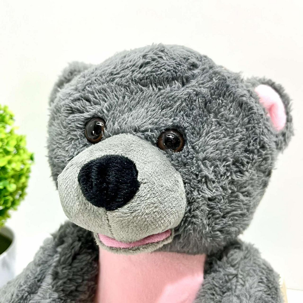 Ведмедик казкар інтерактивний грає в хованки розповідає казки Сірий (M 5843 I UA) Чернігів - фото 3