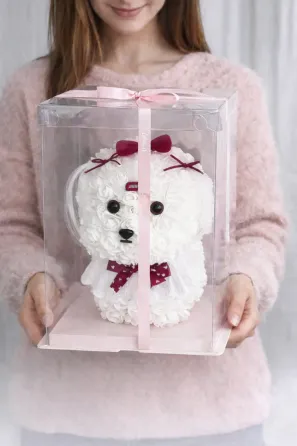 Мальтийская Болонка из 3D роз KR-22 24/24/30см Коломия