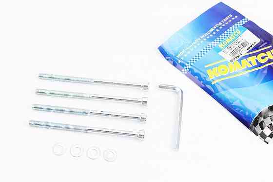 Болт (шестигранник) M6x100 (DIO кріплення ЦПГ) к-кт 4шт + ключ Київ