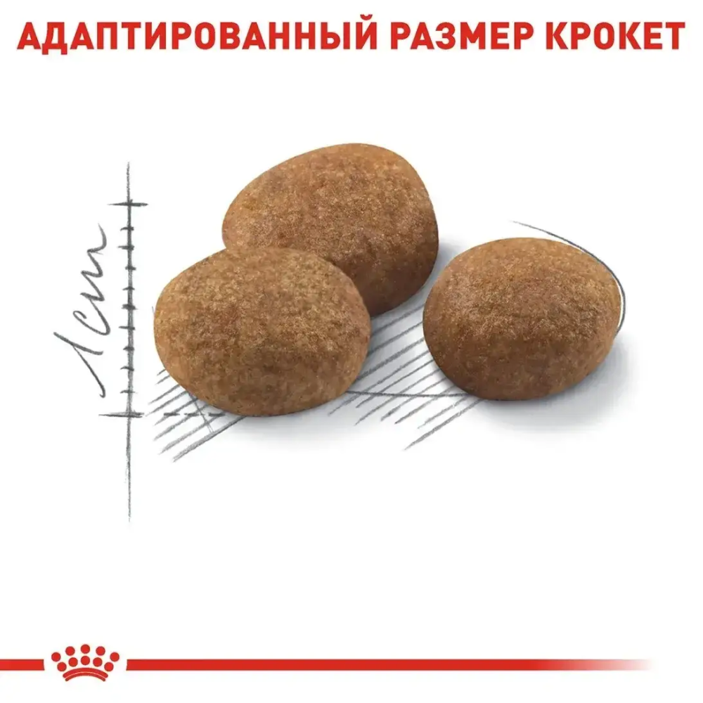Royal Canin Sterilised 7+ (Роял Канін Стерелайдз 7+) сухий корм для стерилізованих кішок 7-12 років 10 кг. Запоріжжя - фото 5