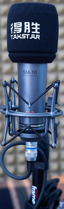 Микрофон-гармата TAKSTAR SGC-578 Киев - изображение 3