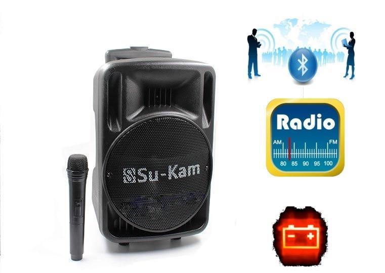 Портативна Bluetooth колонка Su-Kam BT 100D з FM та бездротовим мікрофоном 12V/220V SkyRocet Одеса - фото 3