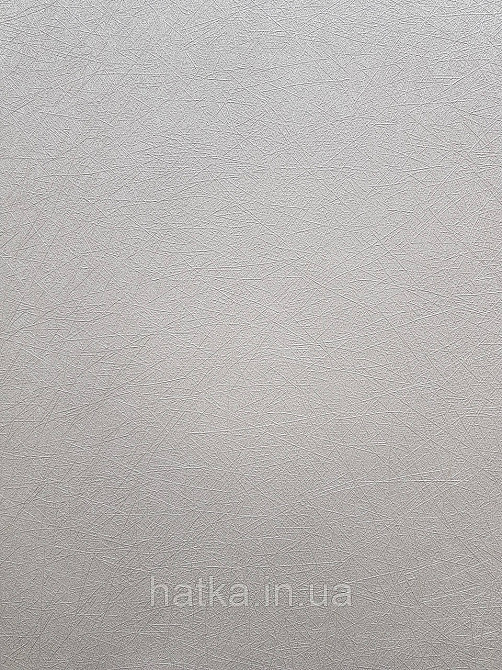 Шпалери метрові вінілові на флізеліні A.S.Creation Flowers Symphony1.06x10 смужки павутинка бежевий перламутр Київ - фото 1