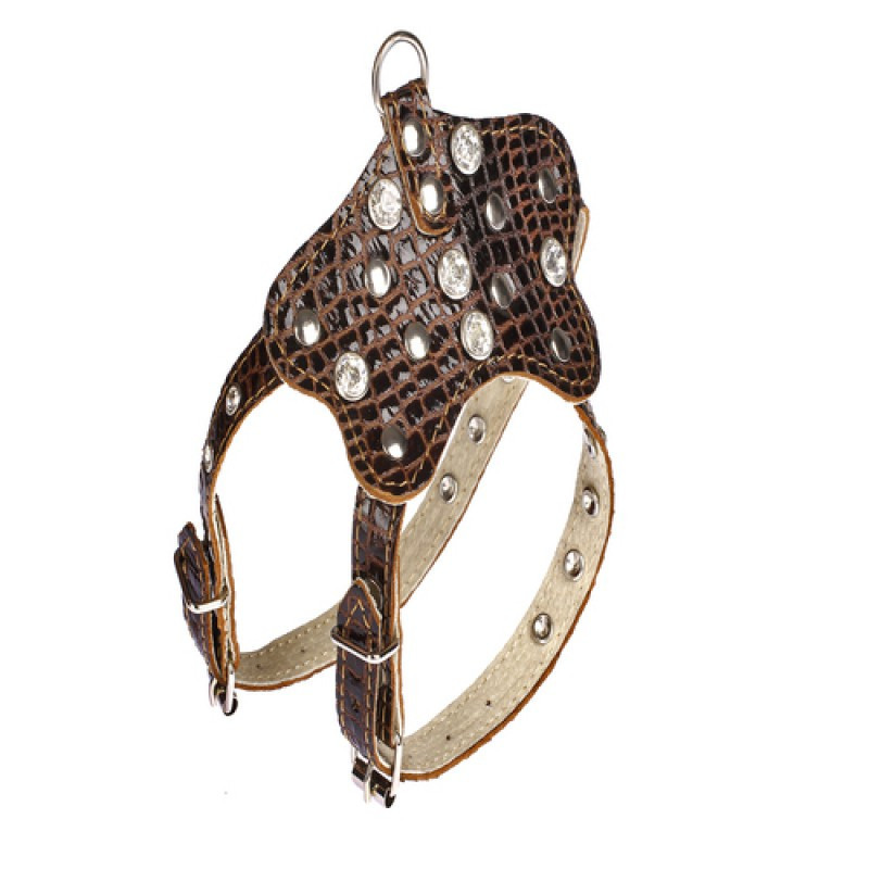 020 КОМПЛЕКТ"РЕПТИЛІЯ":шлейка "810"+ Повідець"791" Вінниця - фото 1