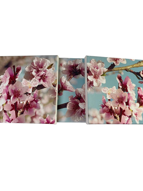 Набір картин 