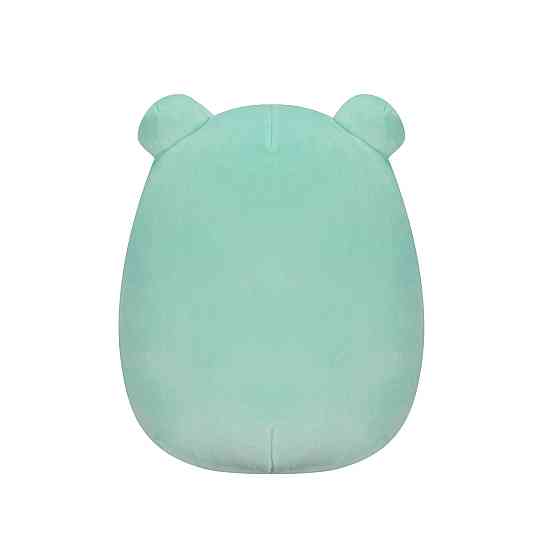 М'яка іграшка Squishmallows - Жабка Фрід (13 cm) Дніпро