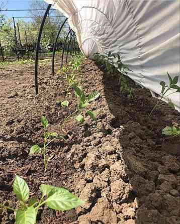 Теплица 15 м 60г/м2 Shadow готовый дуговой парник Днепр