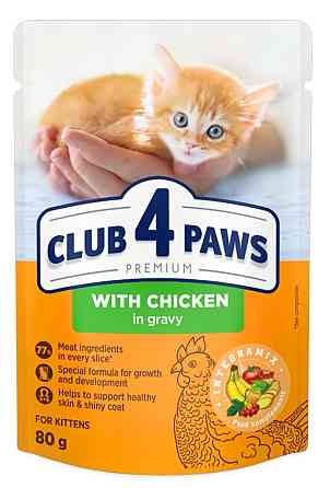Полнорационный консервированный корм CLUB 4 PAWS (Клуб 4 Лапы) Премиум для котят с курицей в соусе, 80 г Винница