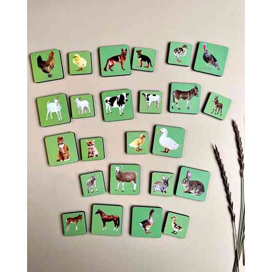 Деревянный пазл-сортер 