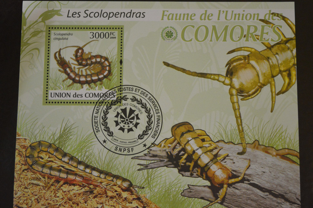 Комори. Марки. Фауна. Блок. 2009 рік (В-5) Полтава - фото 1