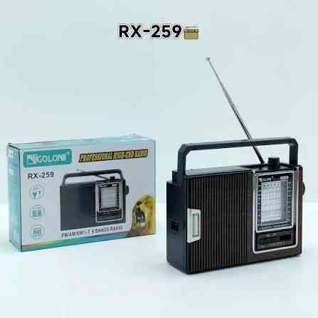 Портативний радіоприймач Golon RX-259 з MP3, USB, SD, акумулятором 1200 мАг, вбудованим динаміком та ліхтариком Одеса