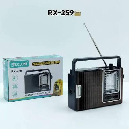 Портативний радіоприймач Golon RX-259 з MP3, USB, SD, акумулятором 1200 мАг, вбудованим динаміком та ліхтариком Одеса - фото 1