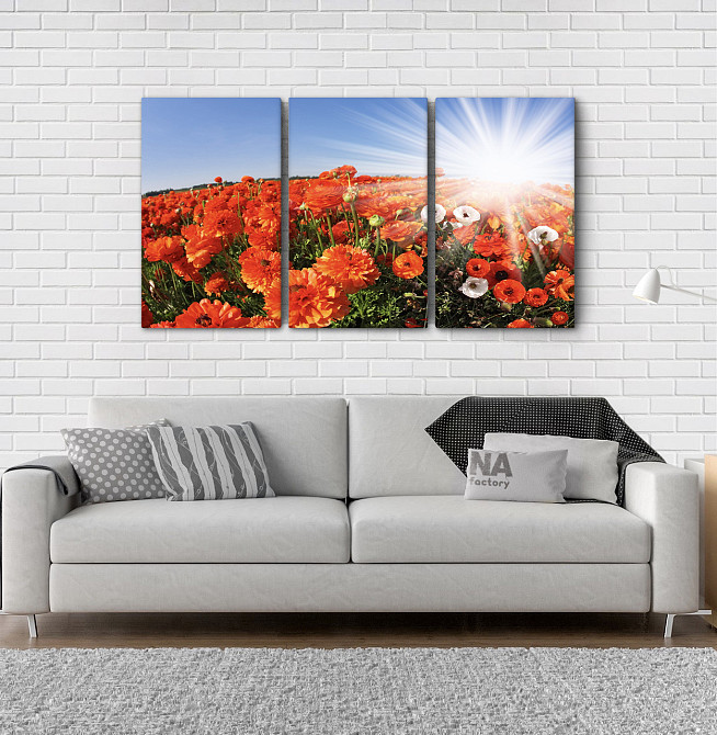 Модульна картина Квіти Маки Art-19_3А Київ - фото 2