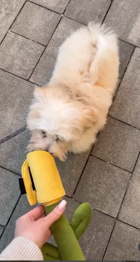 Іграшка для собак квітка тюльпан Happy Peppy (Хеппі Пеппі) з отворами для корму Жовтий Запоріжжя - фото 3