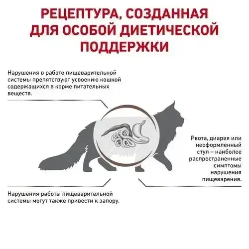 Royal Canin Gastrointestinal Fibre Response (Роял Канин Гастроинтестинал Файбер Респонс) для кошек при запорах 2 кг. Запорожье