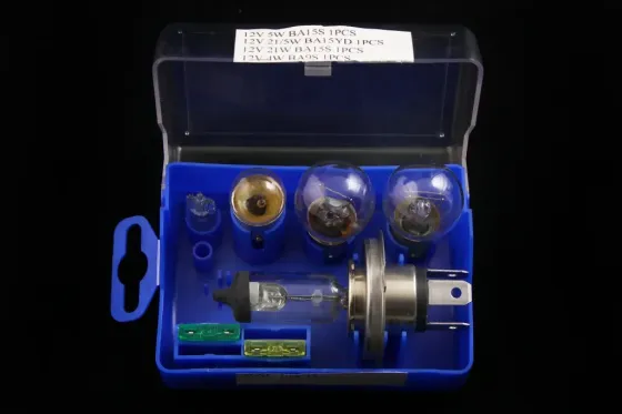 Лампа галогенная 12В  H4/P43t  60/55 + P21W + P21/5W + R5W +T4W + 2 Евро предохр. в пласт. боксе Винница