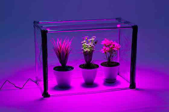 Міні-теплиця для кімнатних рослин Metaplant Sezam L Duo Bicolor Бориспіль
