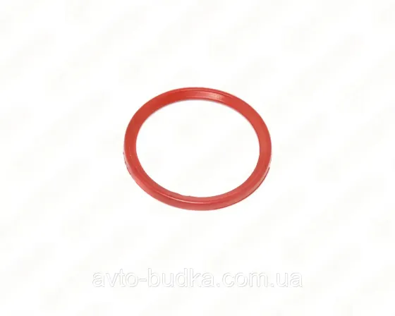 Кільце ущільнювача патрубка інтеркуллера на Renault Scenic III двигун 1.5dCi;  RS RS33349 Київ