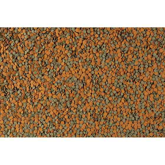 Корм Tetra Wafer Mix для аквариумных донных рыб таблетки 119г/250мл Киев